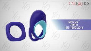 Link Up Alpha