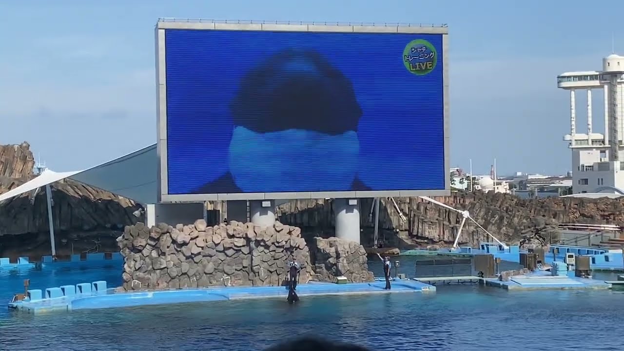 名古屋港水族館　どかないシャチ😭アース😭