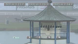 Vidéo de la course PMU PRIX STOLOPP