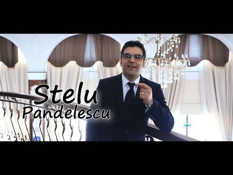 Stelu Pandelescu - Sa am anii tineretii ( Oficial Video ) 2018