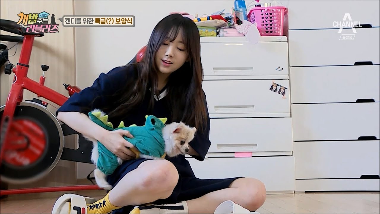 강아지 돌보는 러블리즈 케이 - 애교말투 녹음ㅜㅜ  (Lovelyz Kei takes care of the puppies)