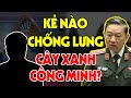 Lin tc trng thu cng ty cy xanh cng minh   l din ng trm tai to mt ln ng ng sau