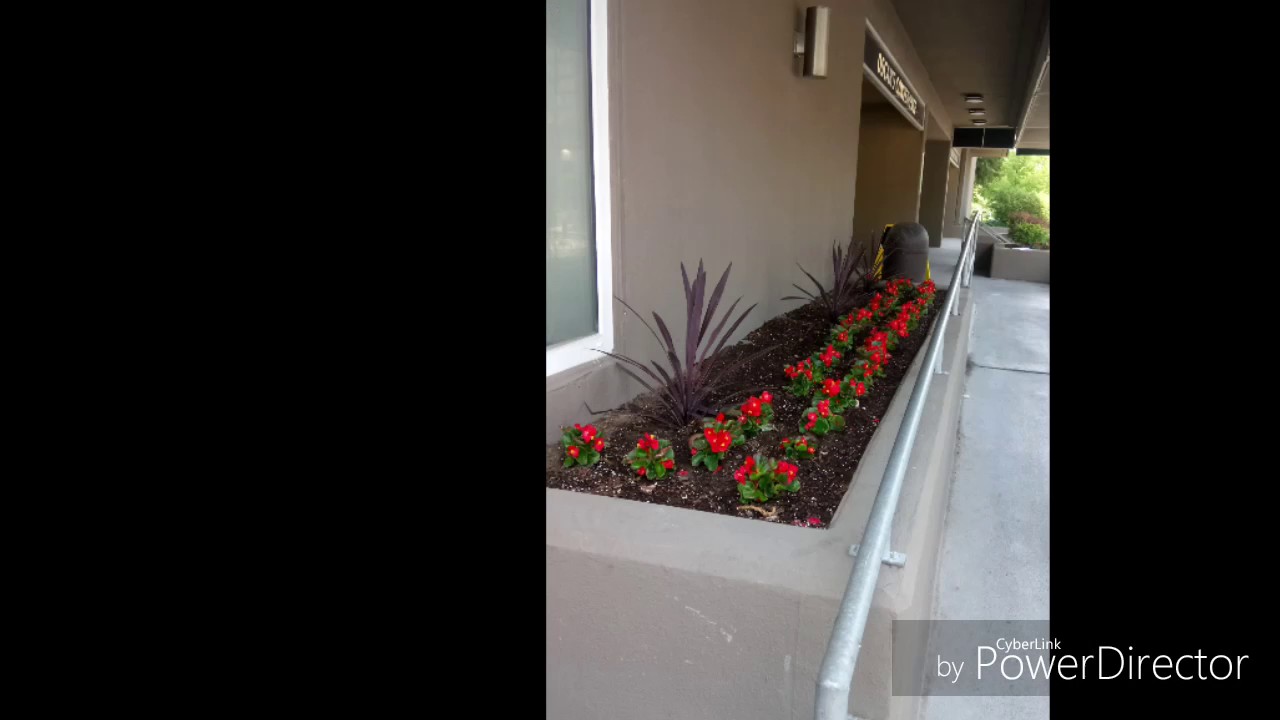 Bray Landscapes 2017 Kitchener Waterloo