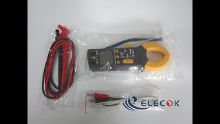 Clamp Meter Victor 6056D