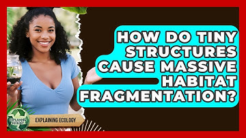How Do Tiny Structures Cause Massive Habitat Fragmentation? - Explaining Ecology