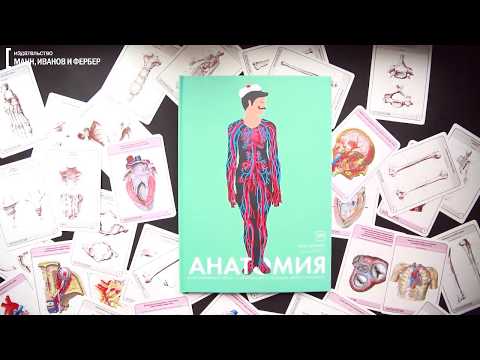 АНАТОМИЯ. Странички с клапанами и лазерной резкой. Это нужно видеть! АНАТОМИЯ. Странички с клапанами и лазерной резкой. Это нужно видеть!