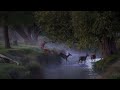 1 Hour of Peaceful Rain | Calm Sleep &amp; Relaxation Sounds