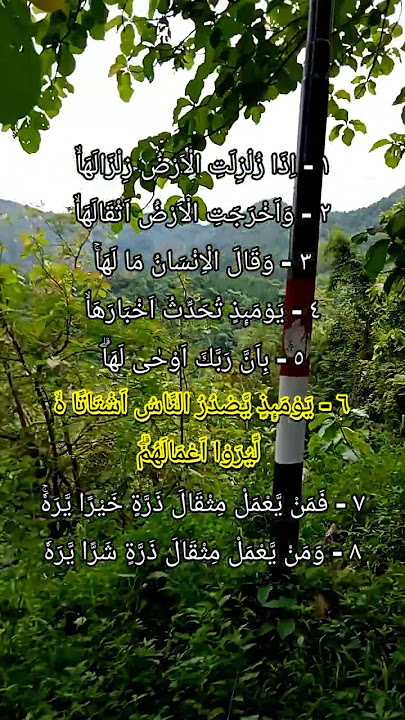 Surah Al Zalzalah - Syeikh Abdurrahman Al Ausy