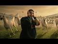 كل أسرار جمال الخيل العربي عمر يجرب 