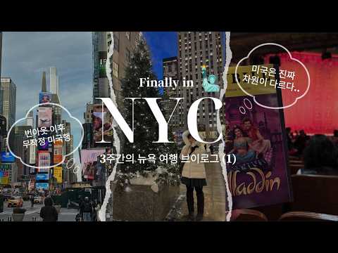 Capa de 인생 여행지가 되어버린 나의 첫 뉴욕 EP.1🗽| 3주 뉴욕 여행 | 폭설 | 추천 스팟 | 갓성비 숙소 | (캡션참고) 구글맵 공유📍
