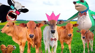 con bò, CON BÒ - nhạc con bò - con bò ăn cỏ - bài hát con bò.