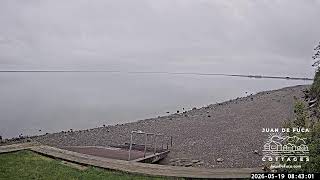 🌊 LIVE EAST Dungeness Bay Webcam from Juan de Fuca Cottages | Sequim WA Coastal Views 🦅🐟