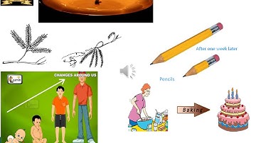 Class 6-Science- Video -Changes Around Us Part 1