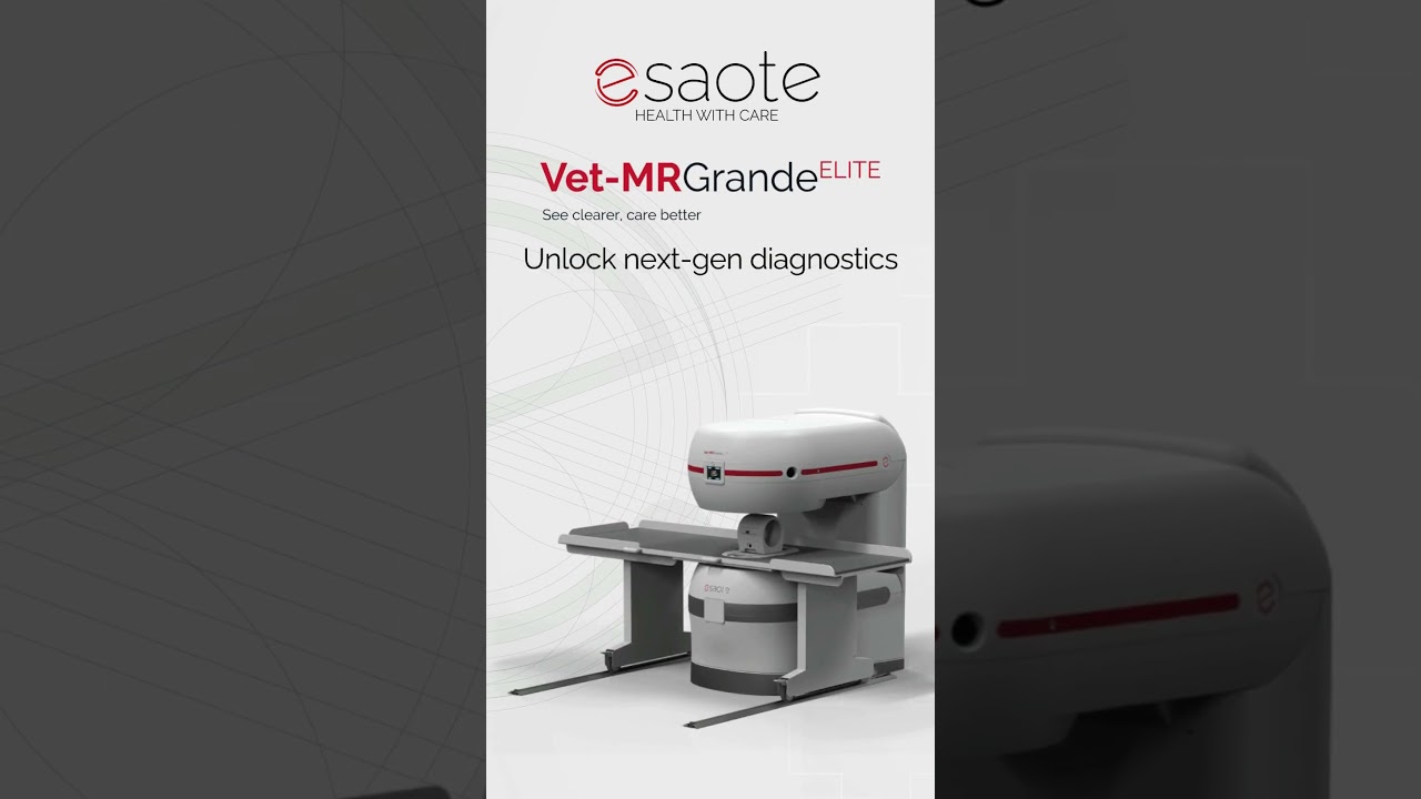 Esaote Vet-MR Grande ELITE 