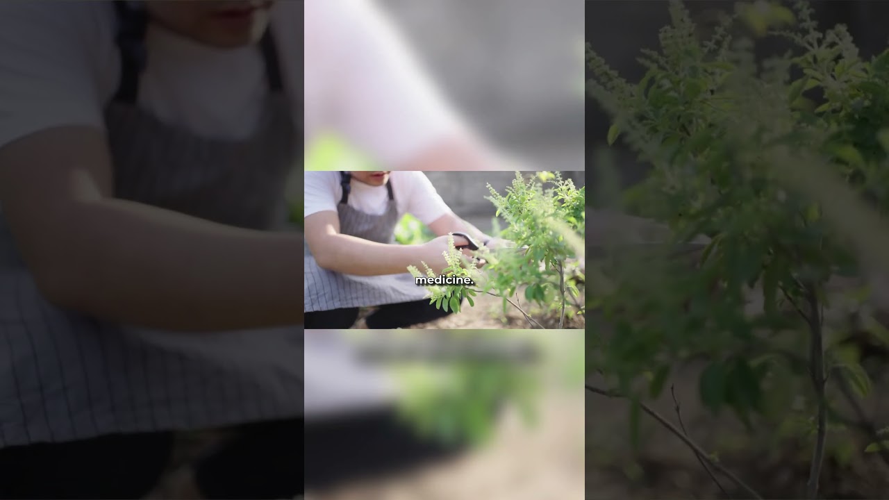 How does Puravive help weight loss? | Puravive Reviews🚶💡 #shorts