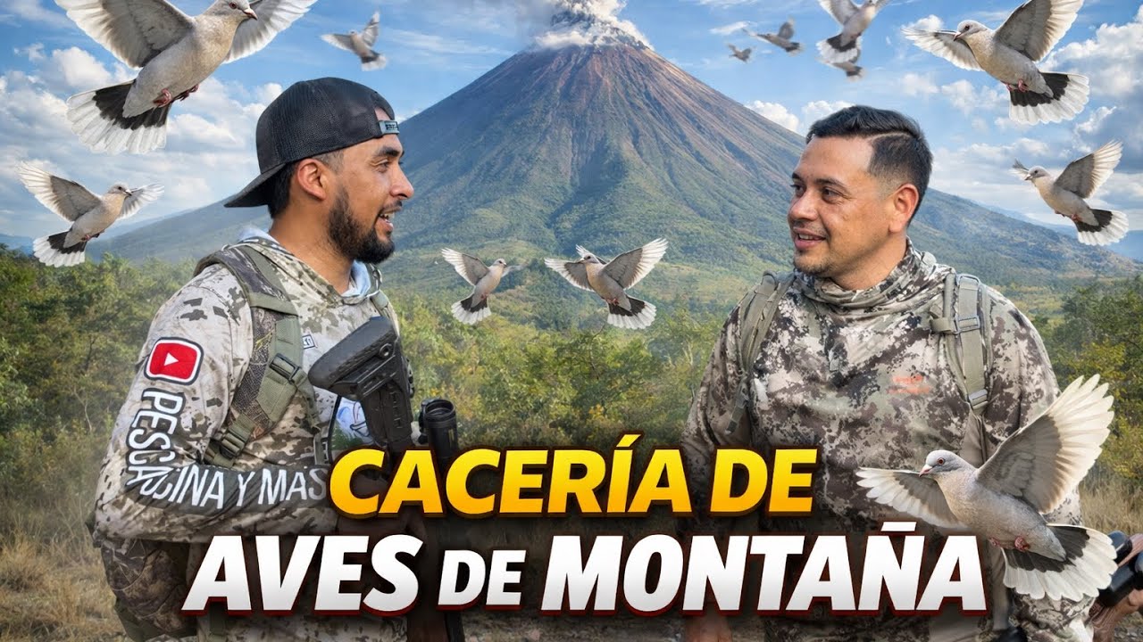 Impresionantes Tiros con rifles de aire¡ Cacería de Aves¡
