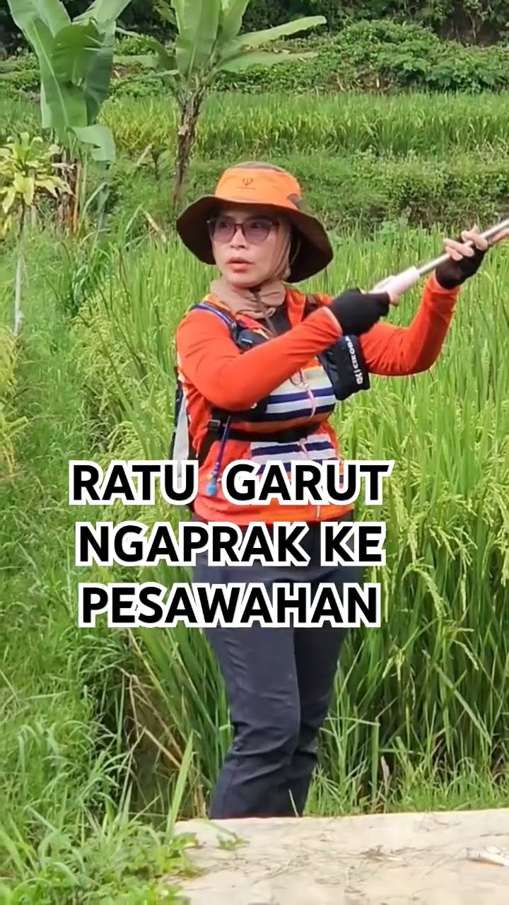 Ratu Jalan Kaki Lewati Pesawahan