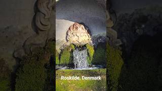 Maglekilde Roskilde Denmark 🇩🇰 Scenic Water Spring View Calm Nature Travel Vibes #shorts
