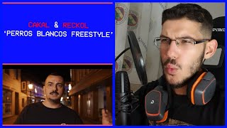 Cakal & Reckol - Perros Blancos Freestyle & Defkhan Parazit  REACTION | MISTERKINGMUHI