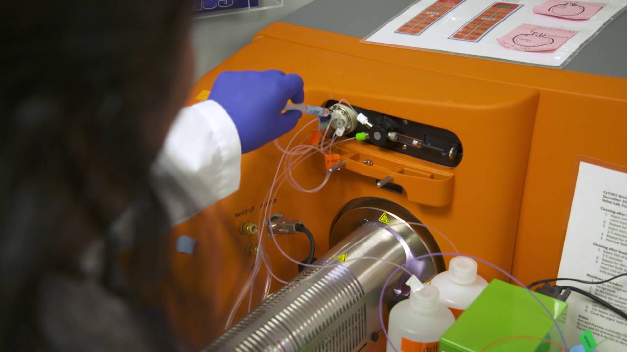 Choosing a PhD in Computer Science: Tiffany Chen