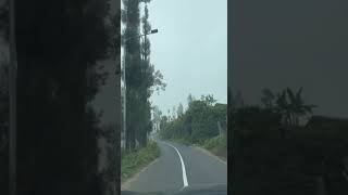 Perjalanan Menuju Bromo Hillside