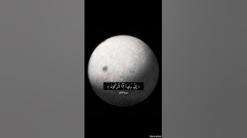 تلاوة بصوت الشيخ ماهر المعيقلي من {سورة الانعام}