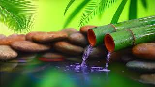 Relaxing Flute and Piano Music | Bamboo Water Fountain | Meditation | Yoga | Spa | Divine Rhythm