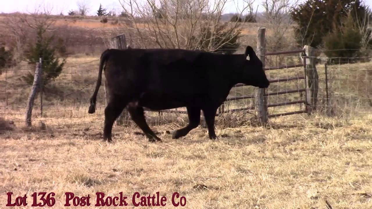 Lot 136 Post Rock Cattle Co