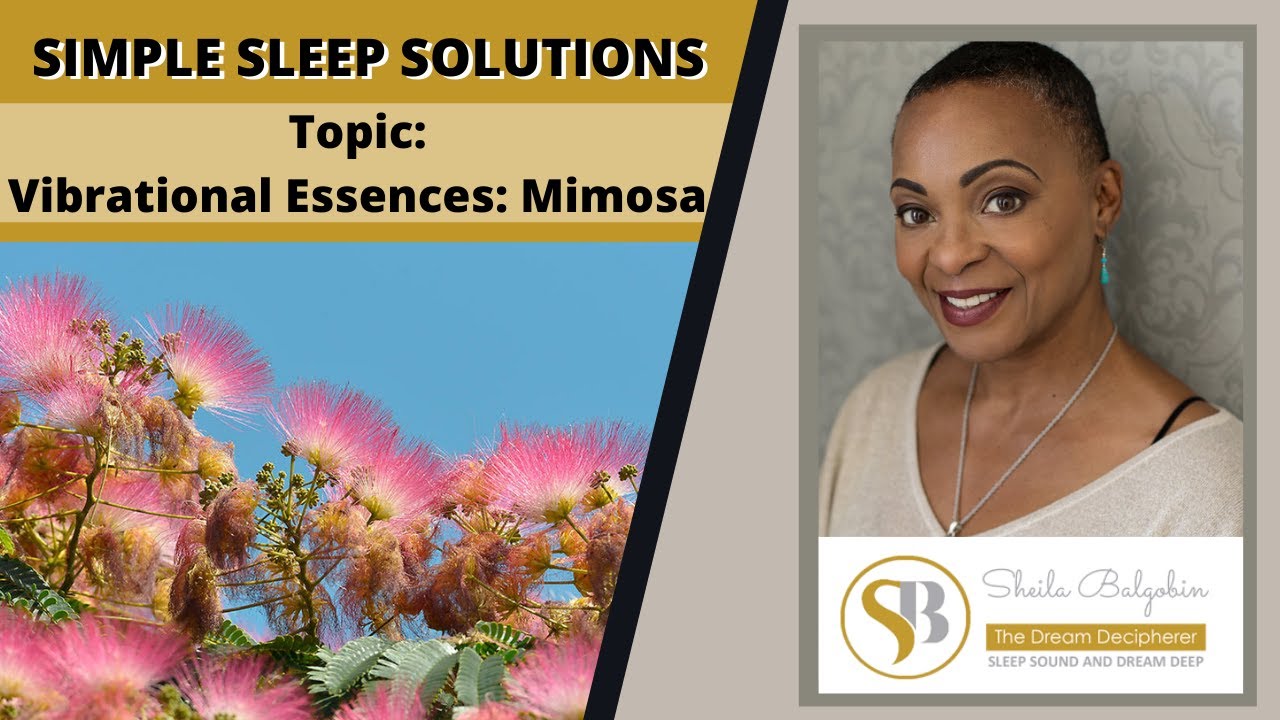 Simple Sleep Solutions Episode  2 Vibrational Essences - Mimosa