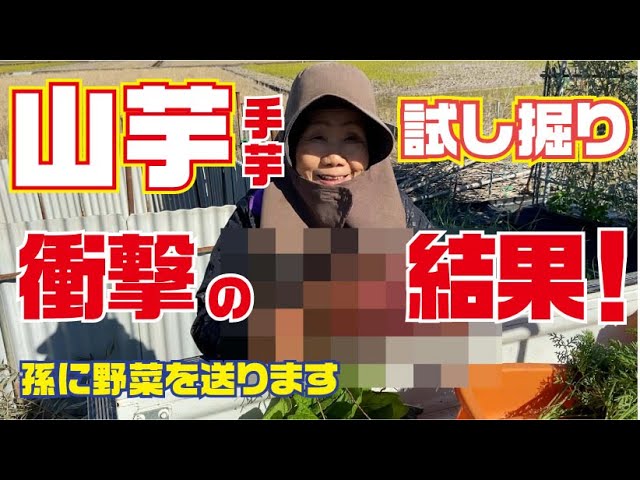 ＊ハーちゃん農園＊ sddefault.jpg