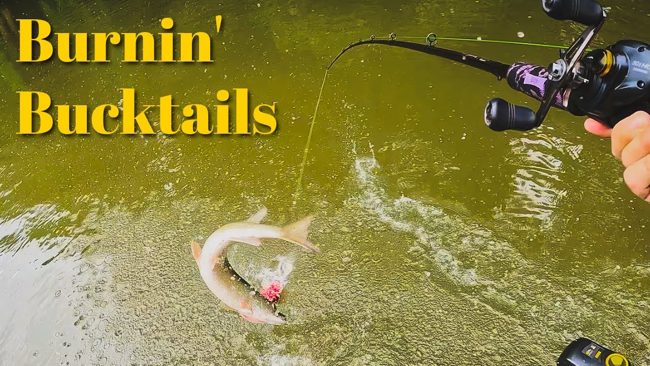 Chasing Summer Musky With Big Bucktails
