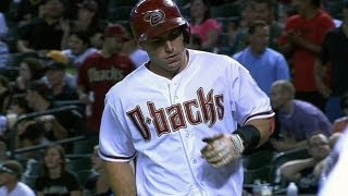 Goldschmidt's sac fly