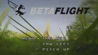 Lizard95 - FPV OSD DVR - uncut Newbie - 1st Day