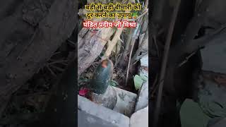 बड़ी से बड़ी बीमारी भी होगी ठीक महादेव पर किसका नाम लेकर चढ़ाए शमीपत्र ? पंडितप्रदीपमिश्राजी