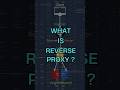 Reverse Proxy Explained: Benefits & Real-Life Analogy 🔍