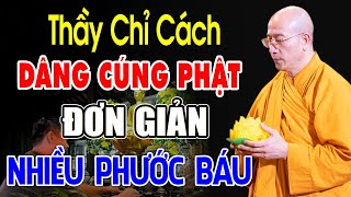 Cách Cúng Dường Phật Đơn Giản Mà Có Nhiều Công Đức Phước Báu (Rất Hay) - Thầy Thích Trúc Thái Minh