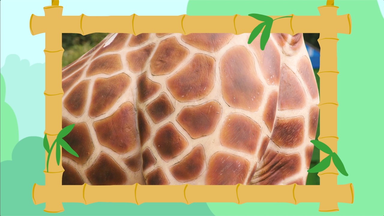 StoryZoo op avontuur - Julianatoren - Safari 🐘