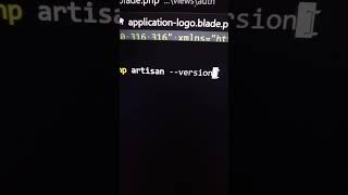 check laravel version in seconds|beginner friendly|#shortvideo #laravel #coding  @vustudy4121