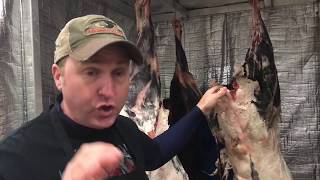The Butcher Block - Dry Aging Deer Meat in the Koola Buck Cooler