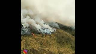 Story wa //Ibu pertiwi//puisi//kebakaran hutan//