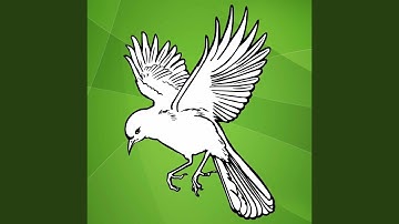 Background for Forgetting Dreams