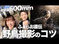 【総額〇〇万円】600mm超望遠レンズで野鳥撮影！まさかの写真が…