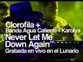 Clorofila + BAC : Never Let Me Down Again ( en vivo en el Lunario )