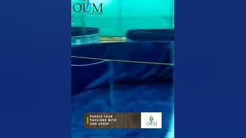 BIOFLOC installation in OUM AQUACULTURE OWN PROJECT