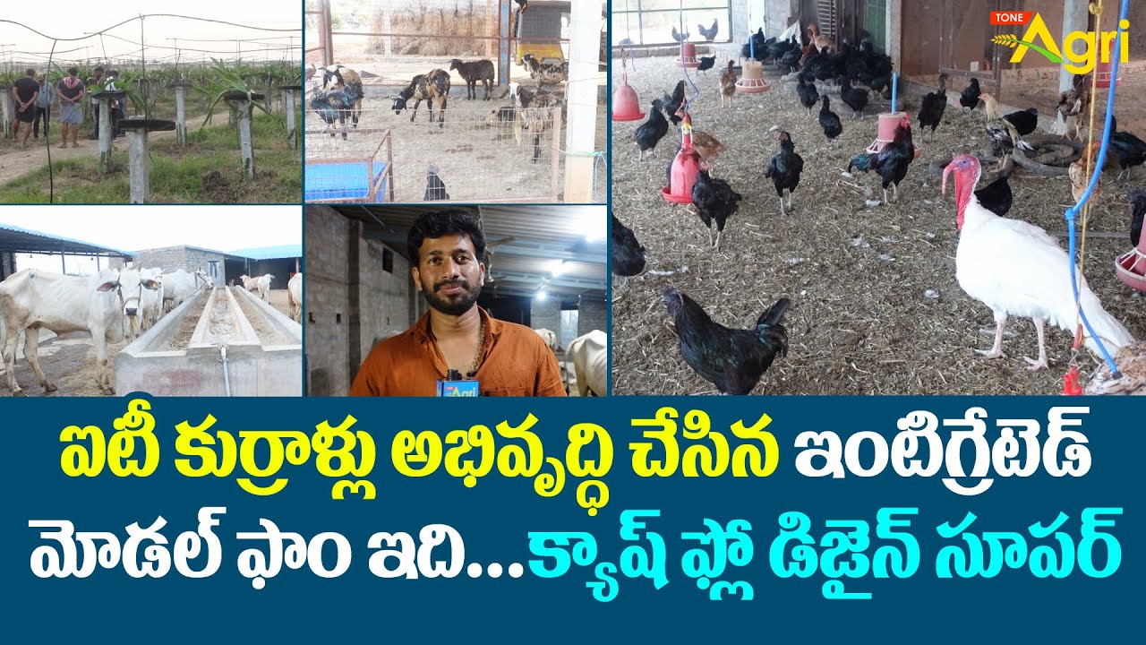 Integrated Model Farm by IT Farmers | ఇంటిగ్రేటెడ్  మోడల్ ఫాం.. క్యాష్ ఫ్లో డిజైన్ సూపర్.. Tone Agri