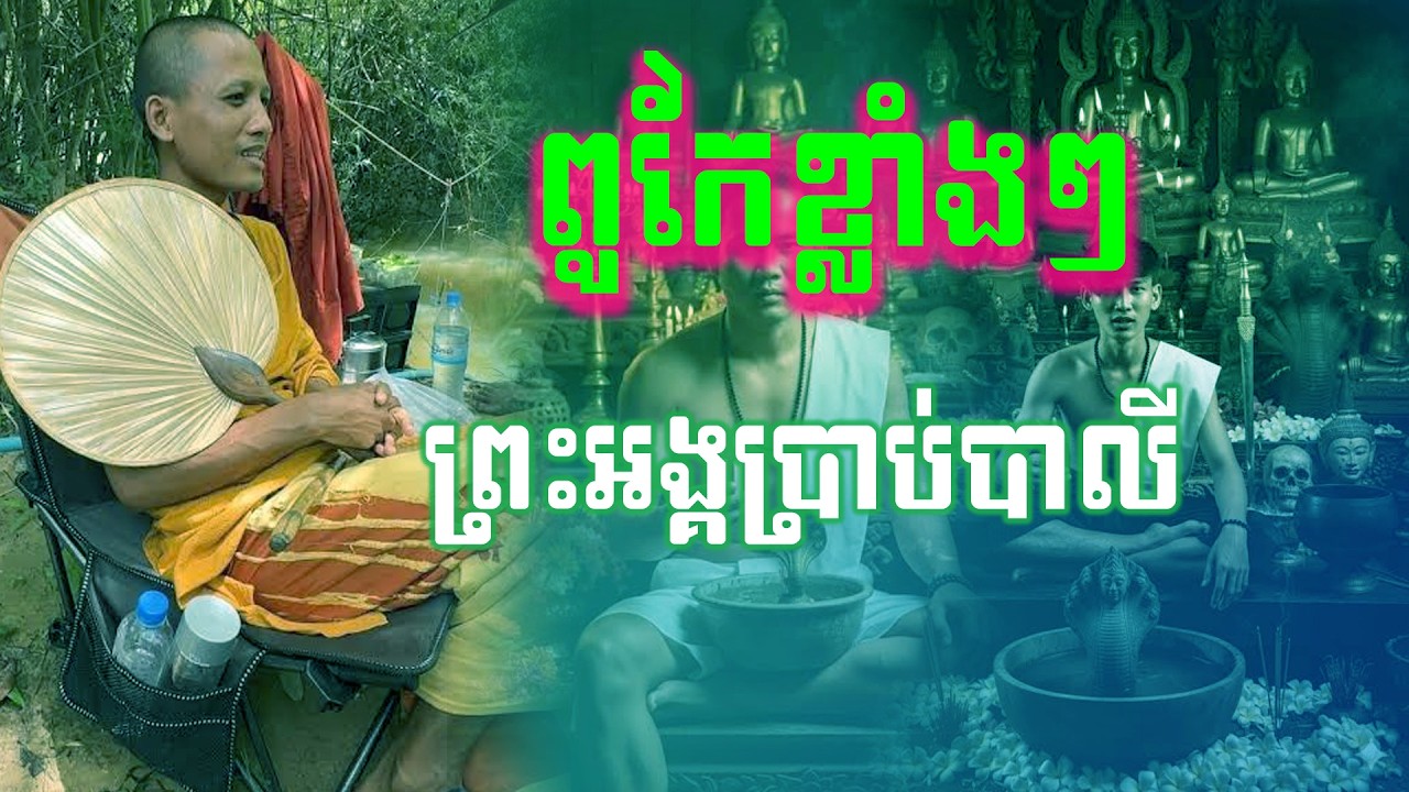 ព្រះអង្គប្រាប់បាលីពូកែសក្កសិទ្ធិចំៗ!!! ព្រះធម្មវនវាសី ចន្ទមុនី