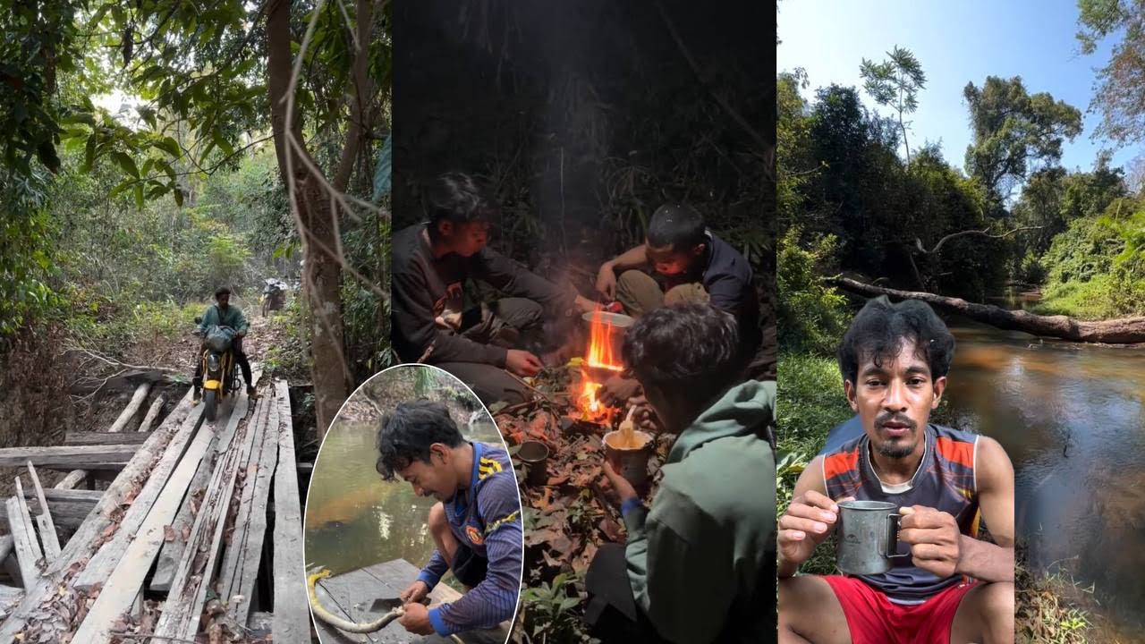 វង្វេងក្នុង.ព្រៃធំ.រកម្ហូប.តាមស្ចឹង.សម្លរពស់.ព្រៃស្លឹក.តាមូង / ភាគ១ /Cooking