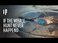 What If We Never Started Hunting Whales?