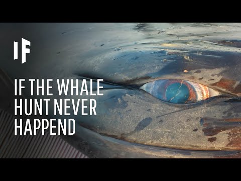 וִידֵאוֹ: האם צריך לאסור ציד לווייתנים?