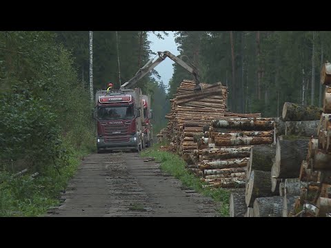 Video: Informācijas terorisms ir briesmas numur viens. 1. daļa